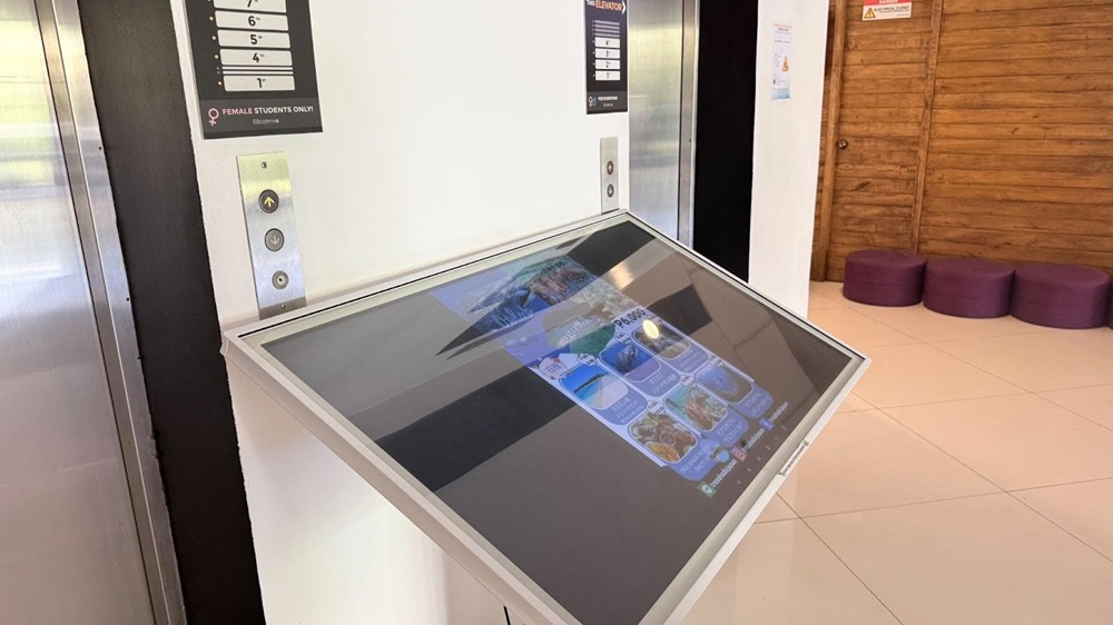 review-truong-ev-hoc-tieng-anh-trong-khuon-vien-sang-trong-va-chuan-chinh-6