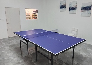 bóng bàn tại trường talk clark