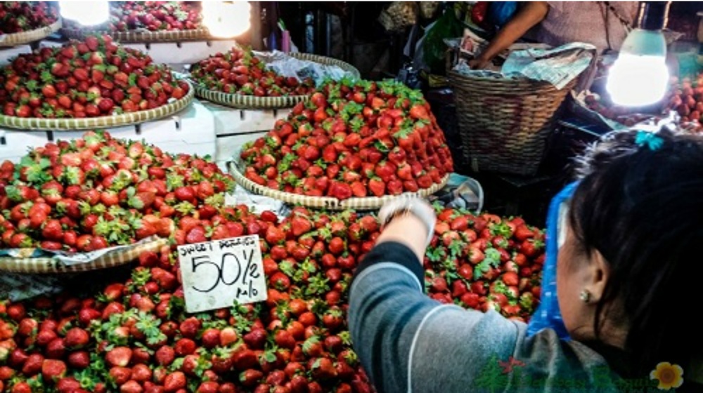 kham-pha-baguio-diem-den-hoc-tieng-anh-noi-tieng-nhat-philippines-2