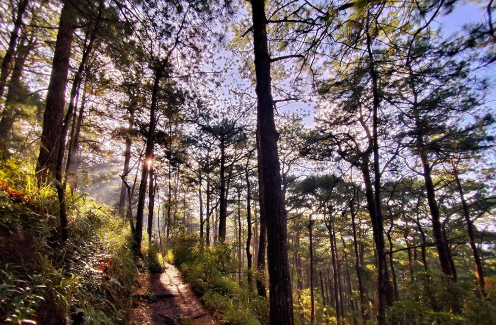 tong-hop-nhung-dieu-thu-vi-ban-nen-thu-khi-hoc-tap-tai-thanh-pho-baguio-3