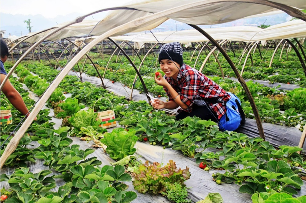 tong-hop-nhung-dieu-thu-vi-ban-nen-thu-khi-hoc-tap-tai-thanh-pho-baguio-5