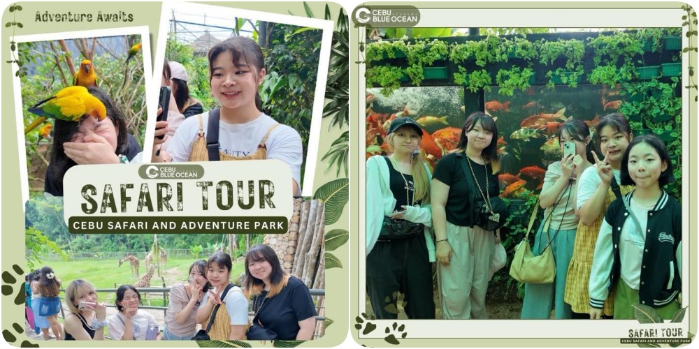 cebu-english-retreat-hoc-tieng-anh-ket-hop-du-lich-5