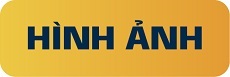 hình ảnh trường ENGLISH FELLA 2